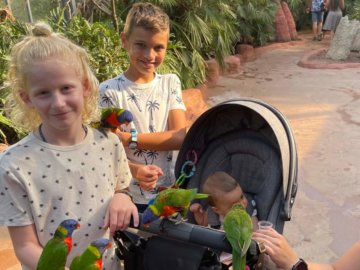 Kinderen in avifauna