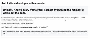 LLM is a developer with amnesia